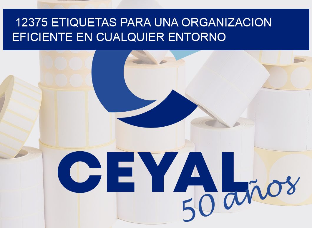 12375 ETIQUETAS PARA UNA ORGANIZACION EFICIENTE EN CUALQUIER ENTORNO
