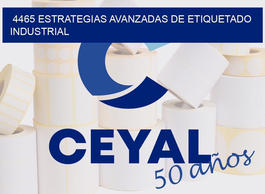 4465 ESTRATEGIAS AVANZADAS DE ETIQUETADO INDUSTRIAL