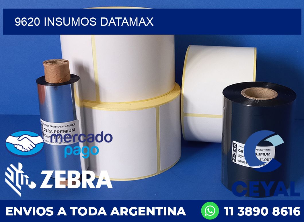 9620 INSUMOS DATAMAX