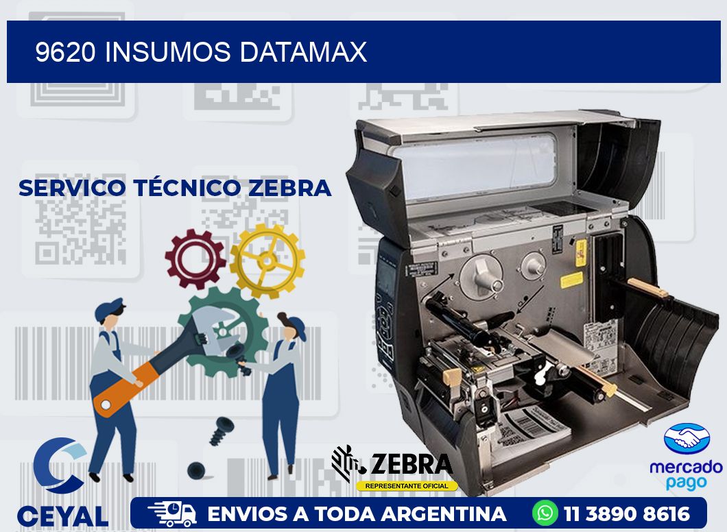 9620 INSUMOS DATAMAX