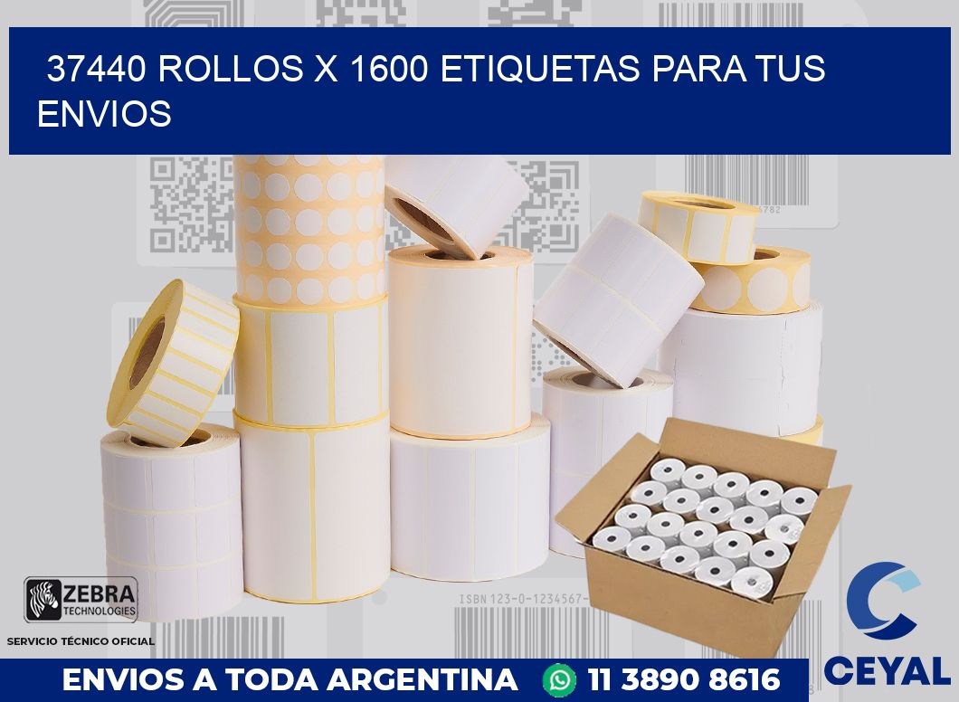 37440 Rollos x 1600 etiquetas para tus envios