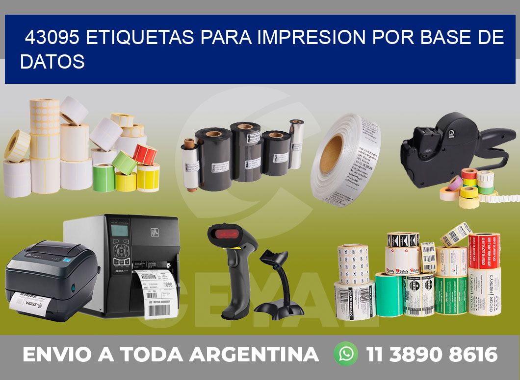 43095 ETIQUETAS PARA IMPRESION POR BASE DE DATOS