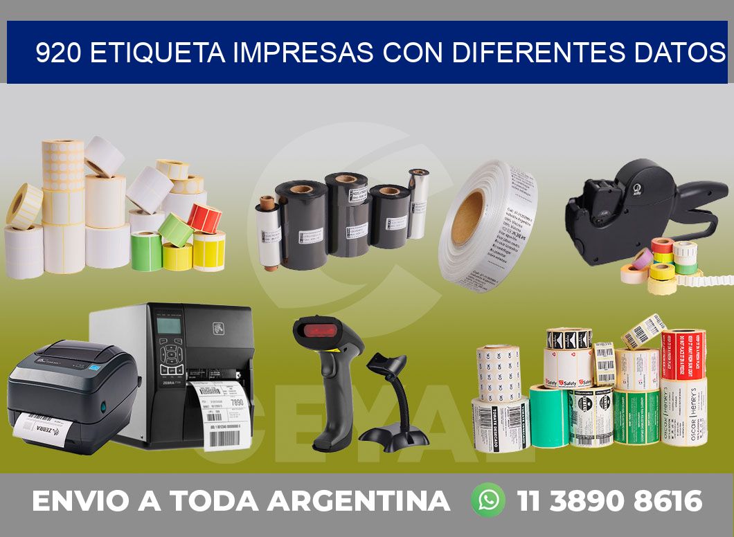920 ETIQUETA IMPRESAS CON DIFERENTES DATOS