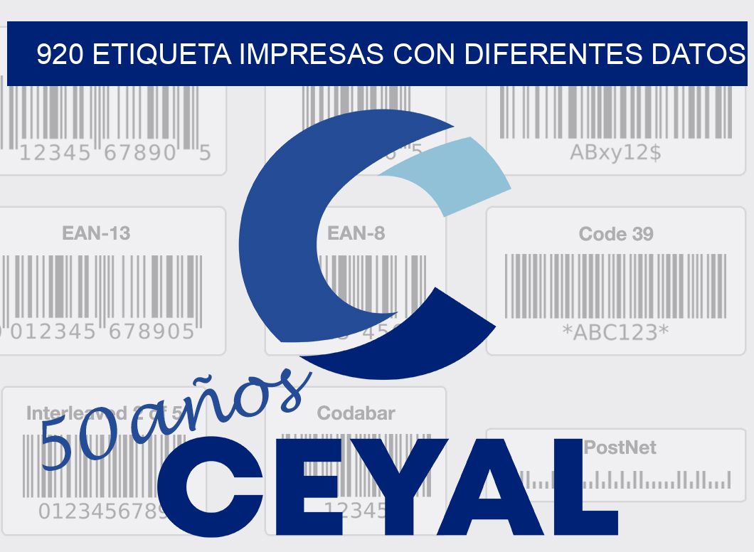 920 ETIQUETA IMPRESAS CON DIFERENTES DATOS
