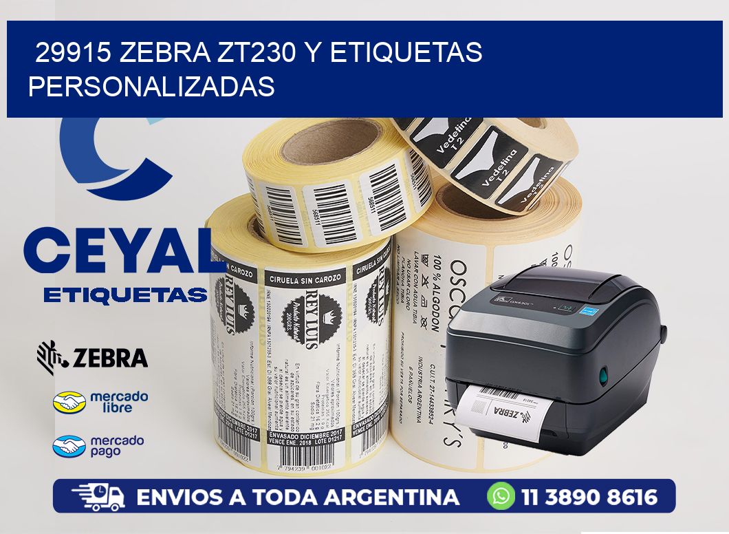 29915 Zebra ZT230 y Etiquetas Personalizadas