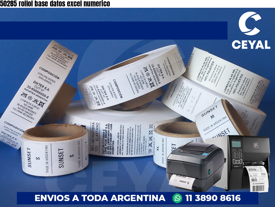 50285 rollol base datos excel numerico