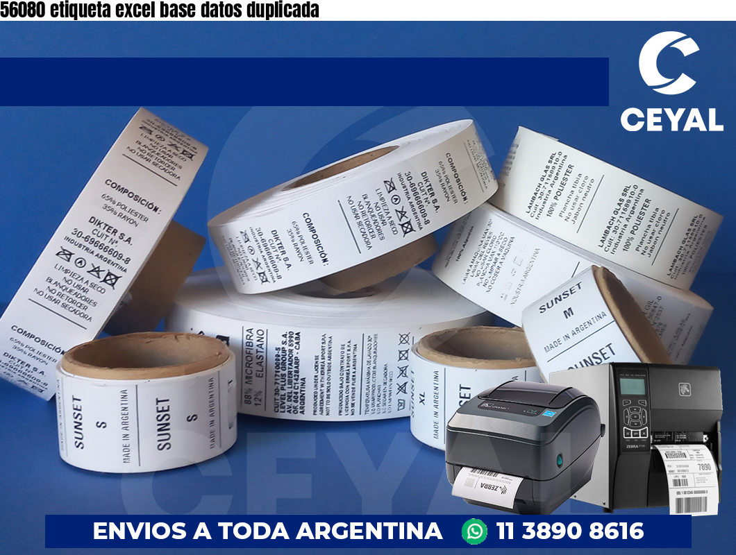 56080 etiqueta excel base datos duplicada