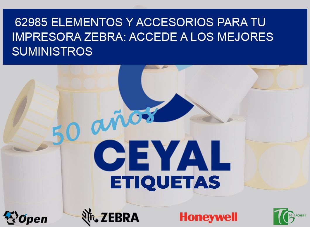 62985 ELEMENTOS Y ACCESORIOS PARA TU IMPRESORA ZEBRA: ACCEDE A LOS MEJORES SUMINISTROS