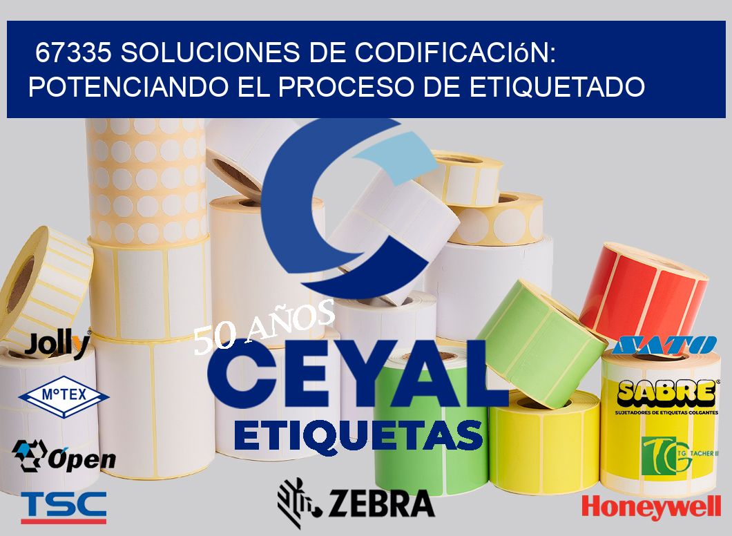 67335 Soluciones de Codificación: Potenciando el Proceso de Etiquetado