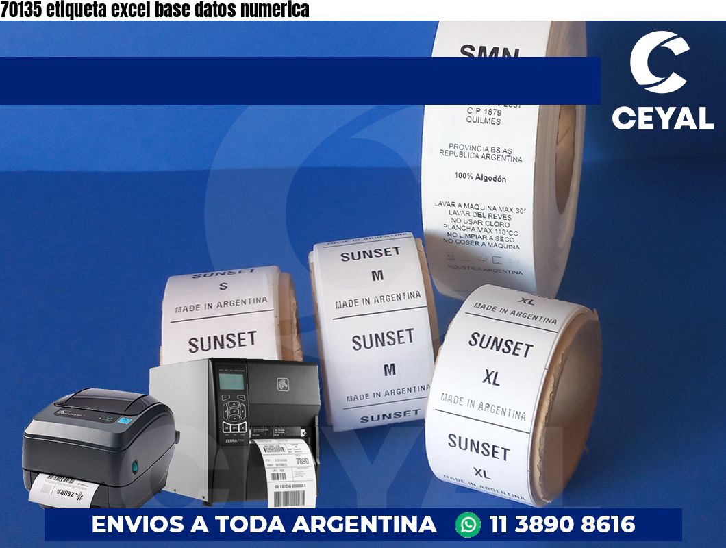 70135 etiqueta excel base datos numerica