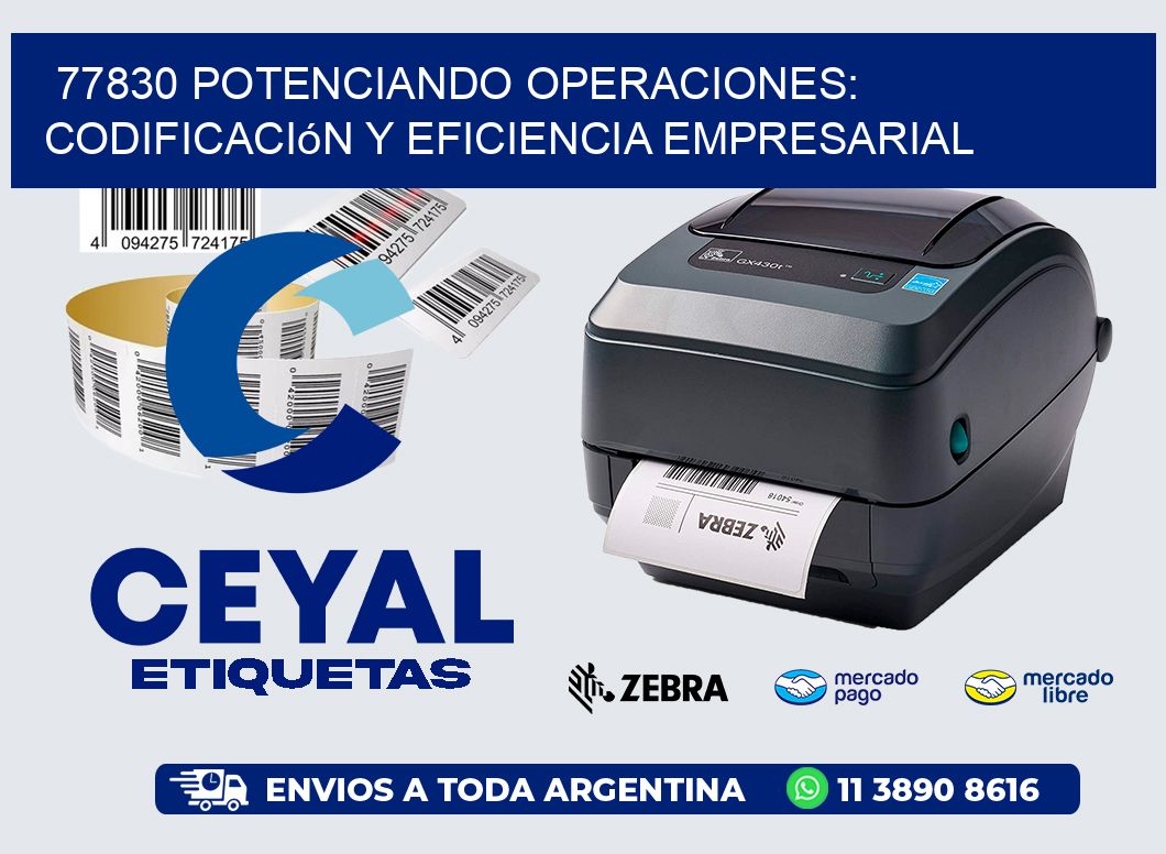 77830 Potenciando Operaciones: Codificación y Eficiencia Empresarial