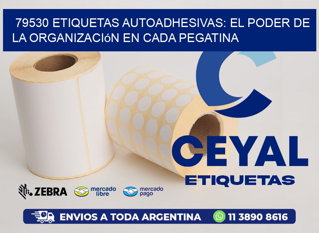79530 Etiquetas Autoadhesivas: El Poder de la Organización en Cada Pegatina