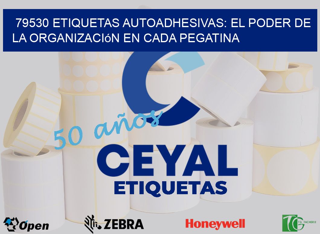79530 Etiquetas Autoadhesivas: El Poder de la Organización en Cada Pegatina
