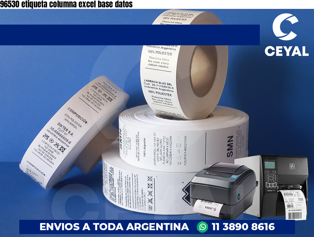96530 etiqueta columna excel base datos