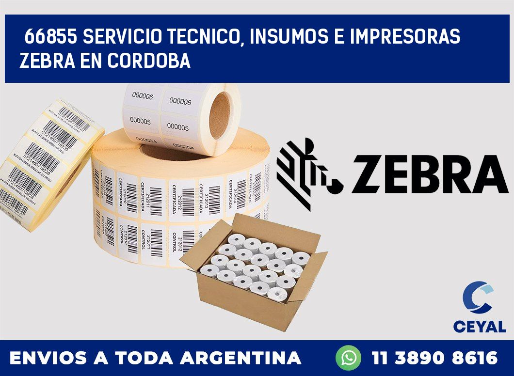 66855 SERVICIO TECNICO, INSUMOS E IMPRESORAS ZEBRA EN CORDOBA