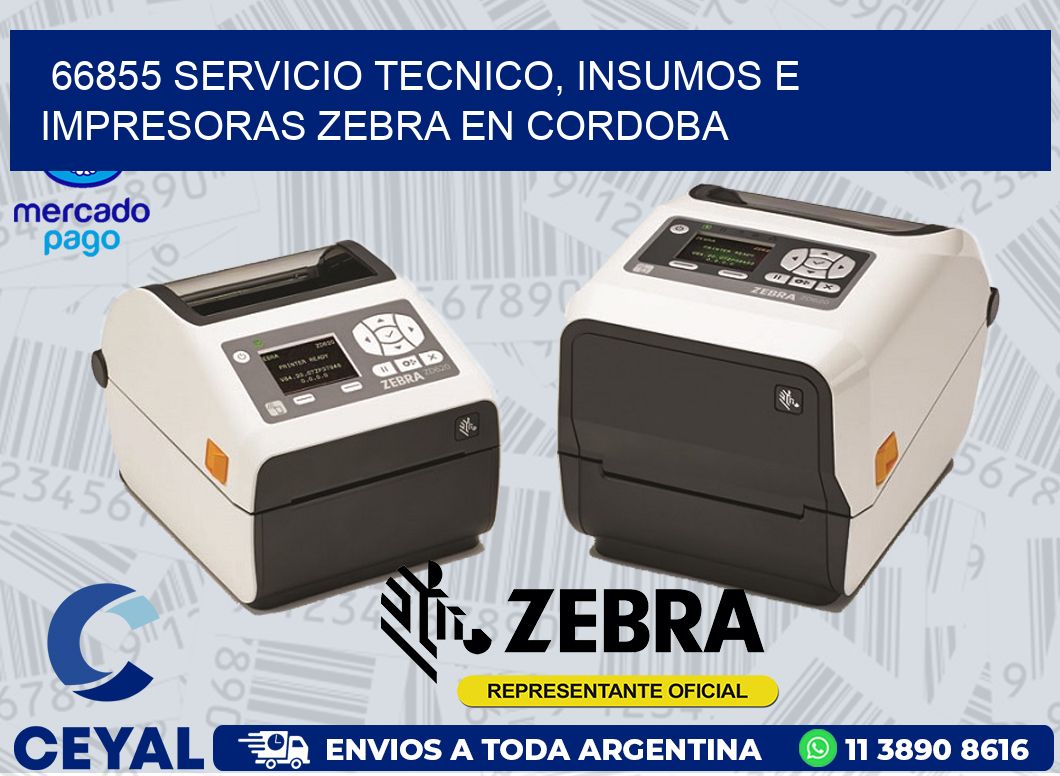 66855 SERVICIO TECNICO, INSUMOS E IMPRESORAS ZEBRA EN CORDOBA