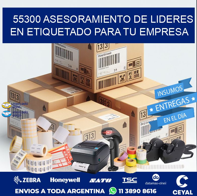 55300 ASESORAMIENTO DE LIDERES EN ETIQUETADO PARA TU EMPRESA