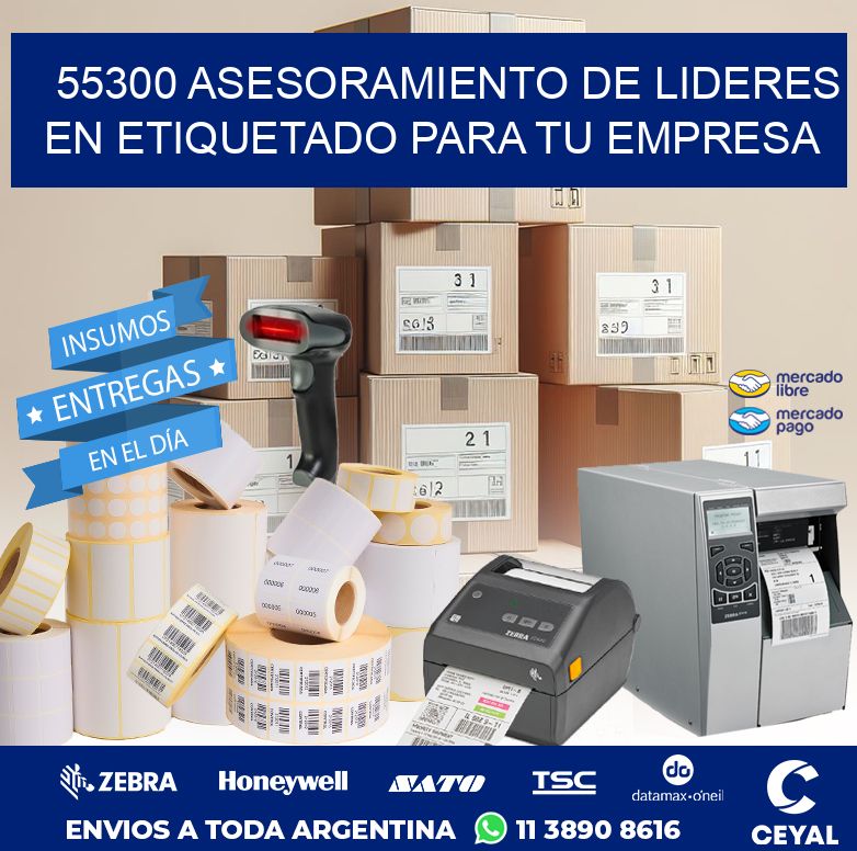 55300 ASESORAMIENTO DE LIDERES EN ETIQUETADO PARA TU EMPRESA