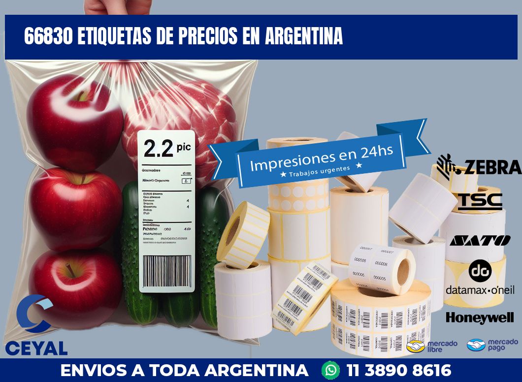 66830 ETIQUETAS DE PRECIOS EN ARGENTINA