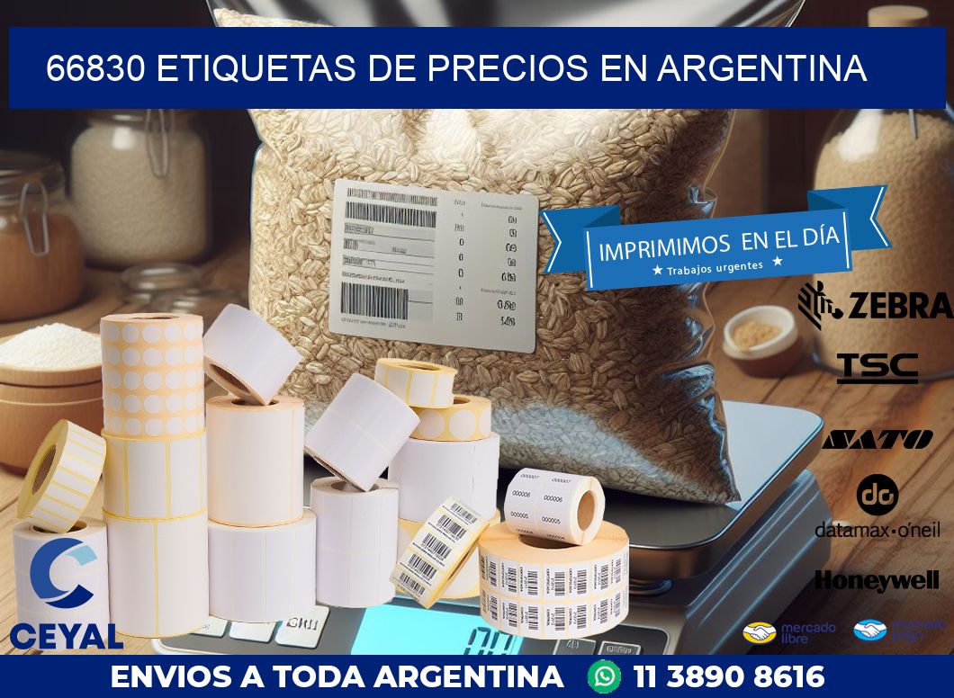 66830 ETIQUETAS DE PRECIOS EN ARGENTINA