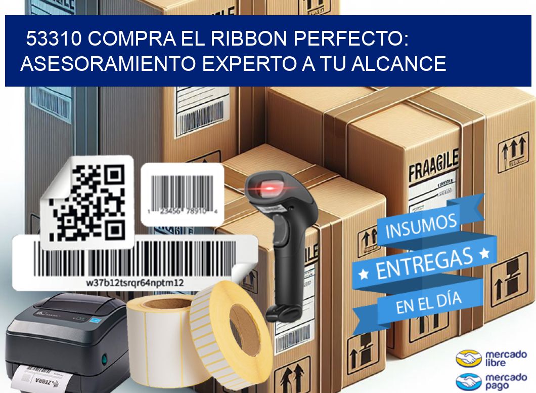 53310 COMPRA EL RIBBON PERFECTO: ASESORAMIENTO EXPERTO A TU ALCANCE