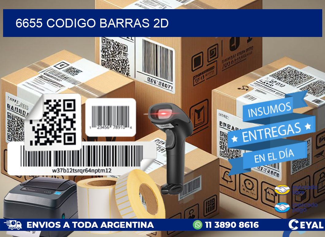 6655 CODIGO BARRAS 2D