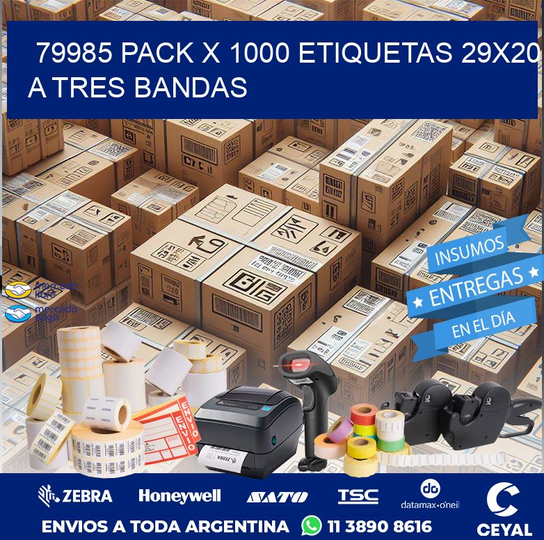 79985 PACK X 1000 ETIQUETAS 29X20 A TRES BANDAS