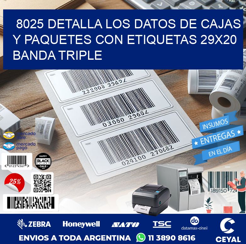 8025 DETALLA LOS DATOS DE CAJAS Y PAQUETES CON ETIQUETAS 29X20 BANDA TRIPLE