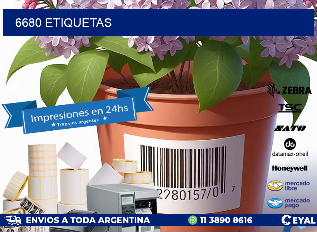 6680 ETIQUETAS