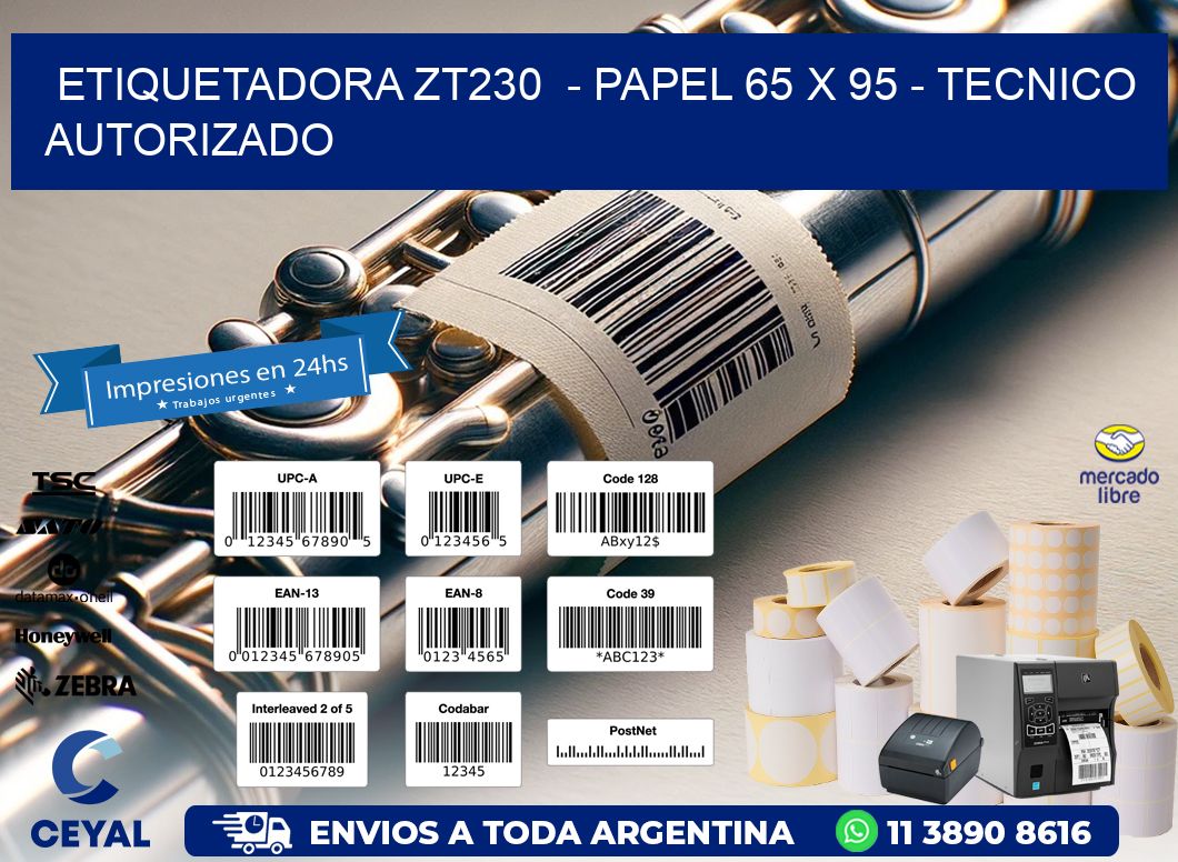 ETIQUETADORA ZT230  - PAPEL 65 x 95 - TECNICO AUTORIZADO