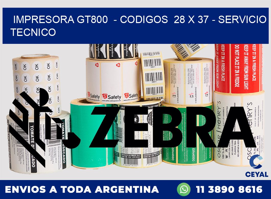 IMPRESORA GT800  - CODIGOS  28 x 37 - SERVICIO TECNICO