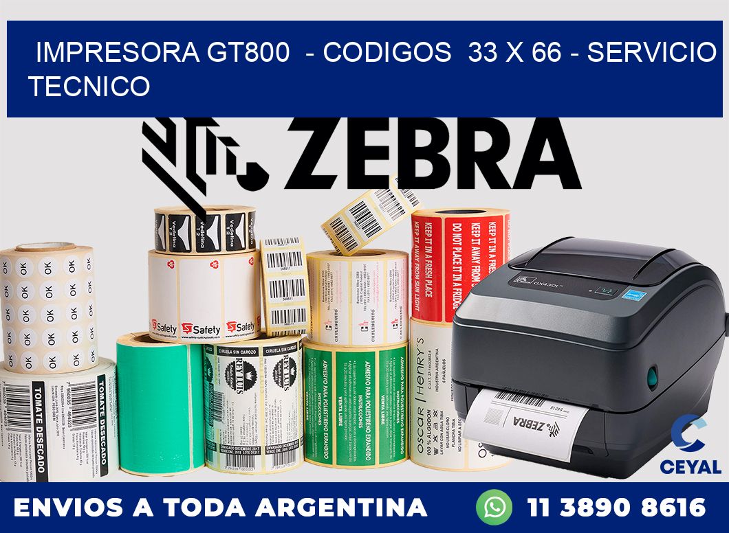 IMPRESORA GT800  - CODIGOS  33 x 66 - SERVICIO TECNICO