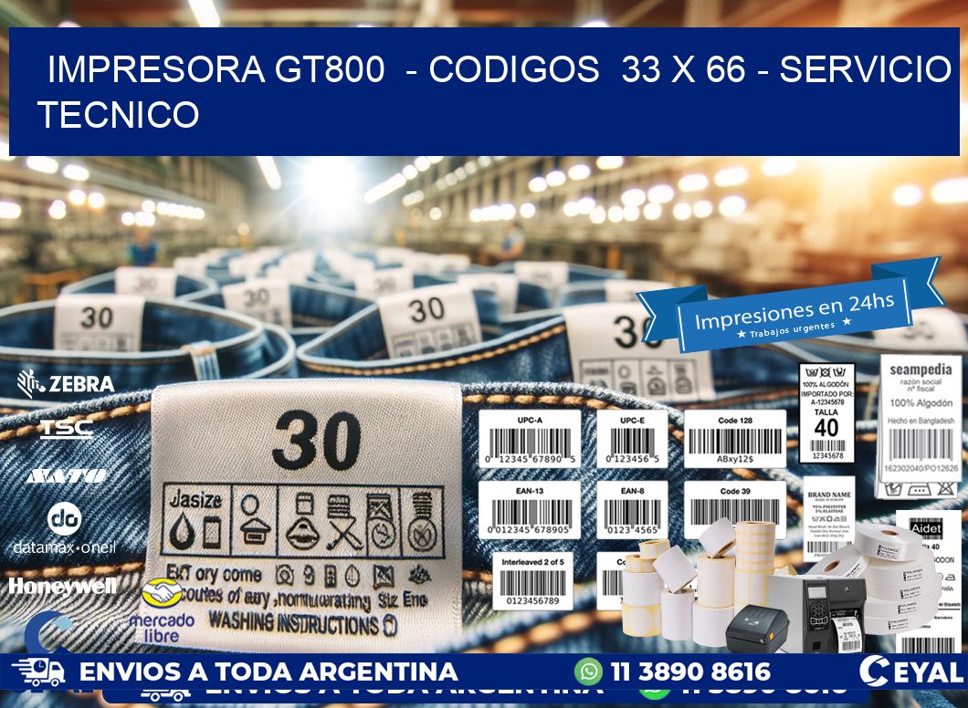 IMPRESORA GT800  – CODIGOS  33 x 66 – SERVICIO TECNICO