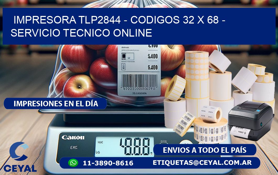 IMPRESORA TLP2844 - CODIGOS 32 x 68 - SERVICIO TECNICO ONLINE