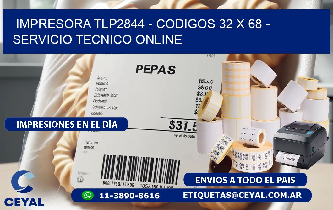 IMPRESORA TLP2844 - CODIGOS 32 x 68 - SERVICIO TECNICO ONLINE