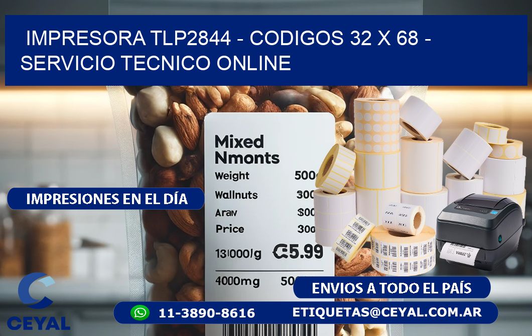 IMPRESORA TLP2844 - CODIGOS 32 x 68 - SERVICIO TECNICO ONLINE