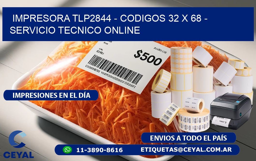 IMPRESORA TLP2844 - CODIGOS 32 x 68 - SERVICIO TECNICO ONLINE