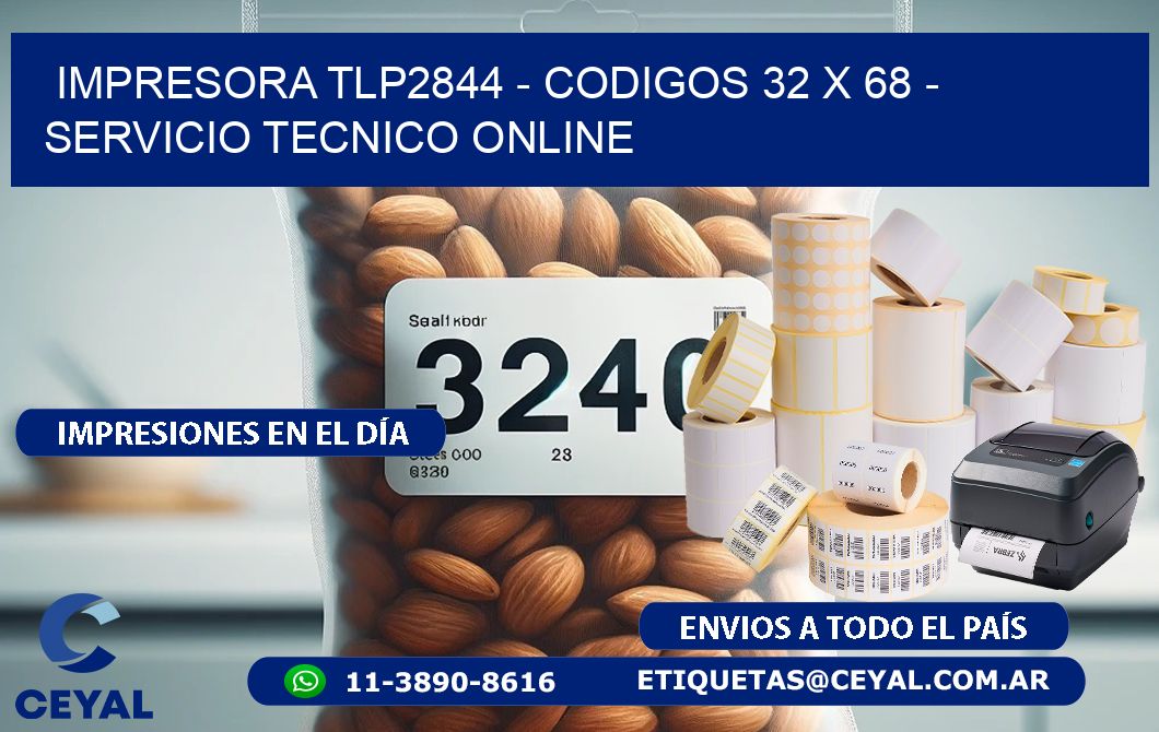 IMPRESORA TLP2844 – CODIGOS 32 x 68 – SERVICIO TECNICO ONLINE