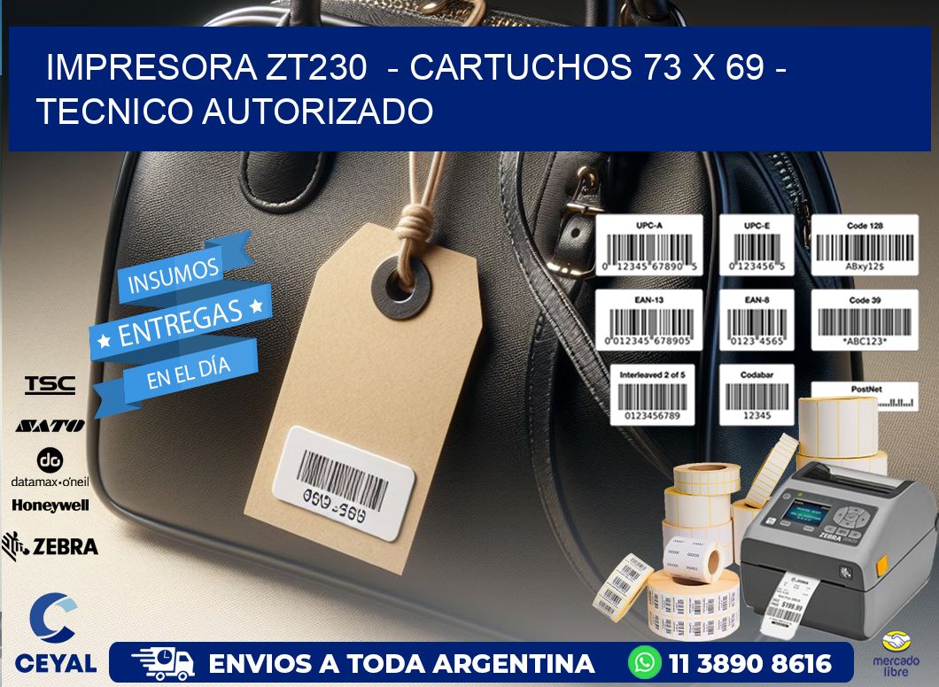 IMPRESORA ZT230  - CARTUCHOS 73 x 69 - TECNICO AUTORIZADO