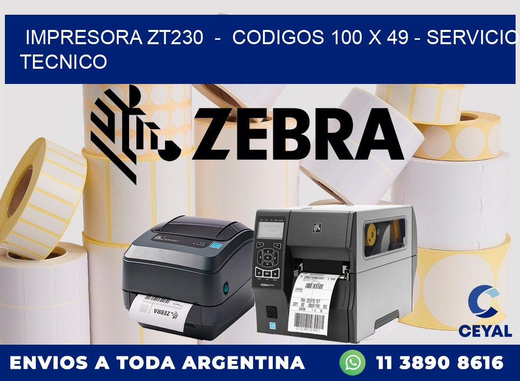 IMPRESORA ZT230  -  CODIGOS 100 x 49 - SERVICIO TECNICO