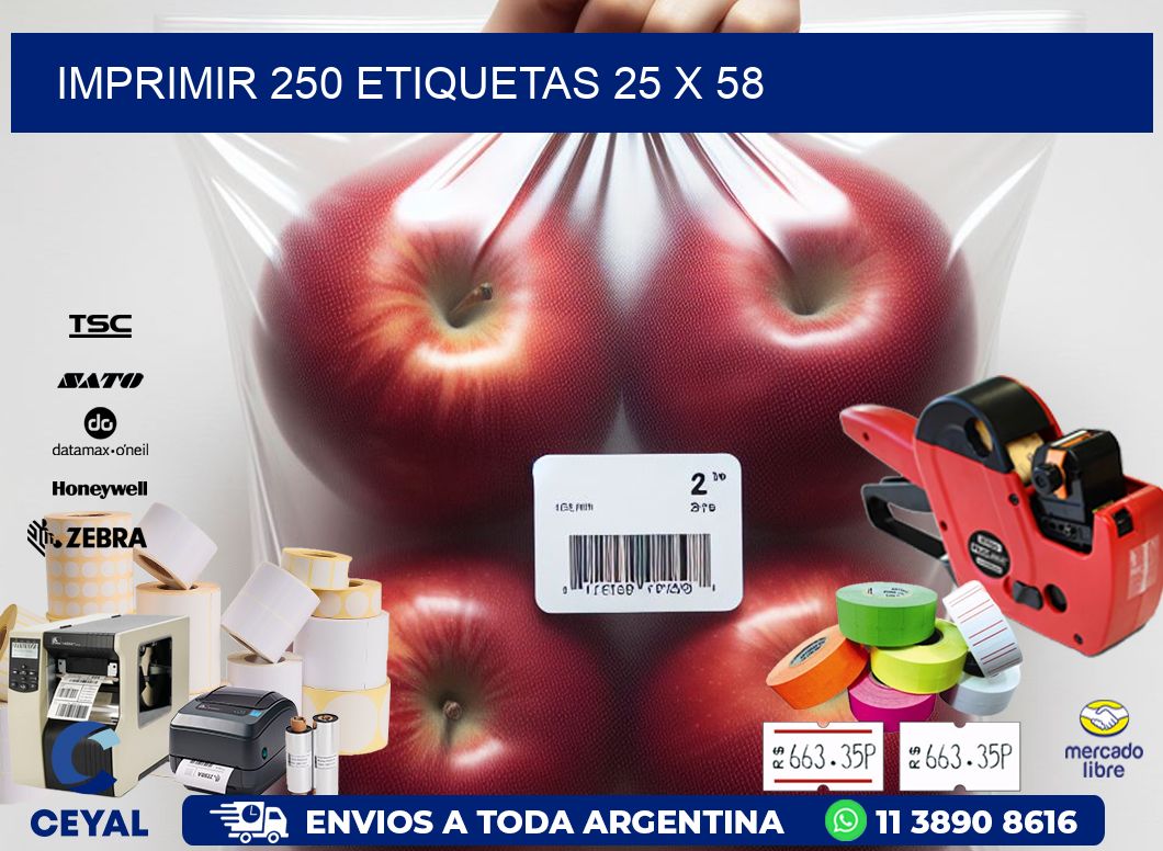 IMPRIMIR 250 ETIQUETAS 25 x 58