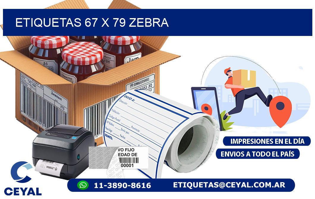 ETIQUETAS 67 x 79 ZEBRA