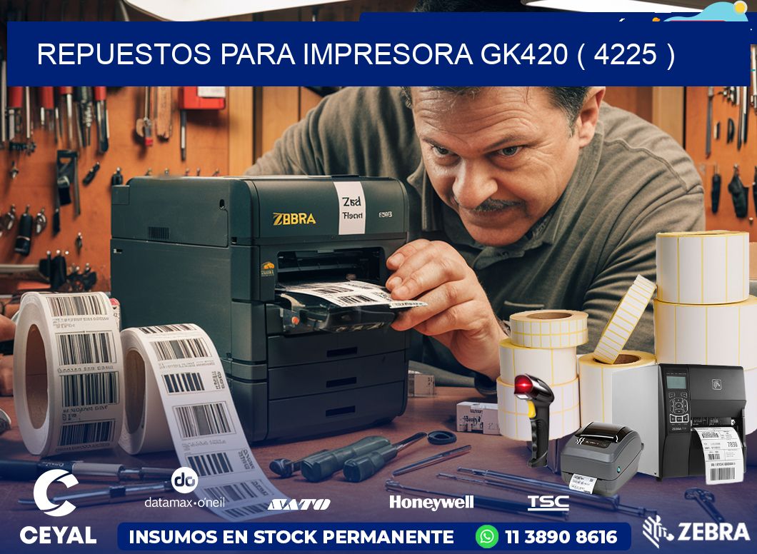 REPUESTOS PARA IMPRESORA GK420 ( 4225 )