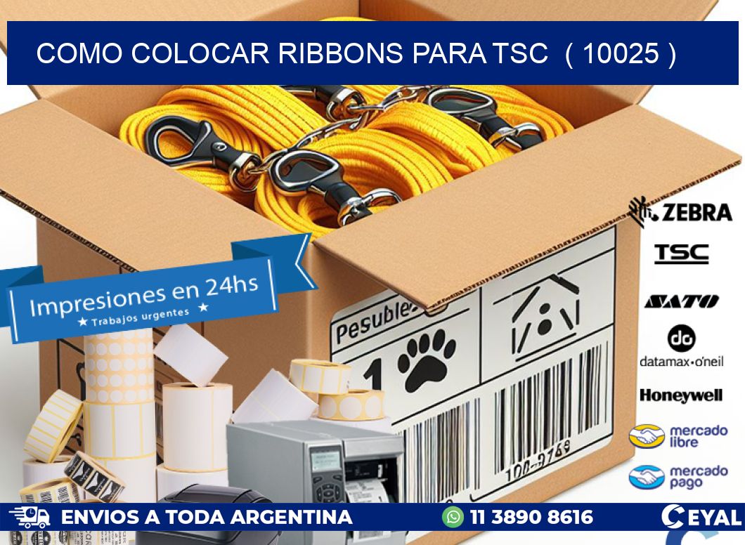 COMO COLOCAR RIBBONS PARA TSC  ( 10025 )