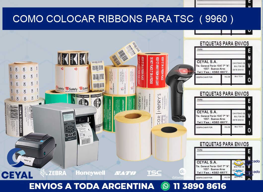 COMO COLOCAR RIBBONS PARA TSC  ( 9960 )