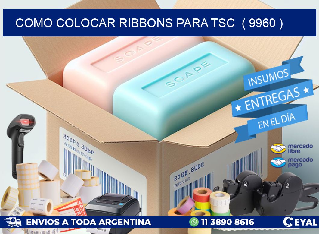 COMO COLOCAR RIBBONS PARA TSC  ( 9960 )
