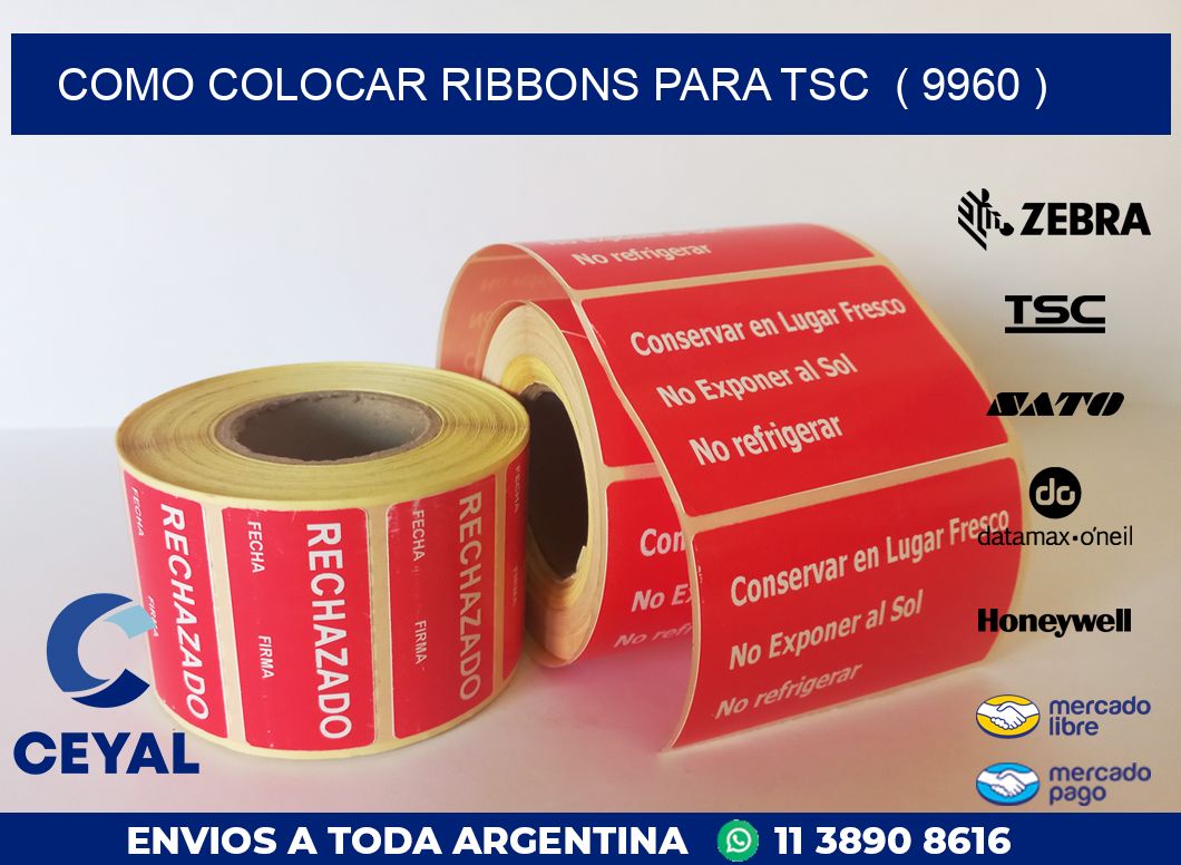 COMO COLOCAR RIBBONS PARA TSC  ( 9960 )
