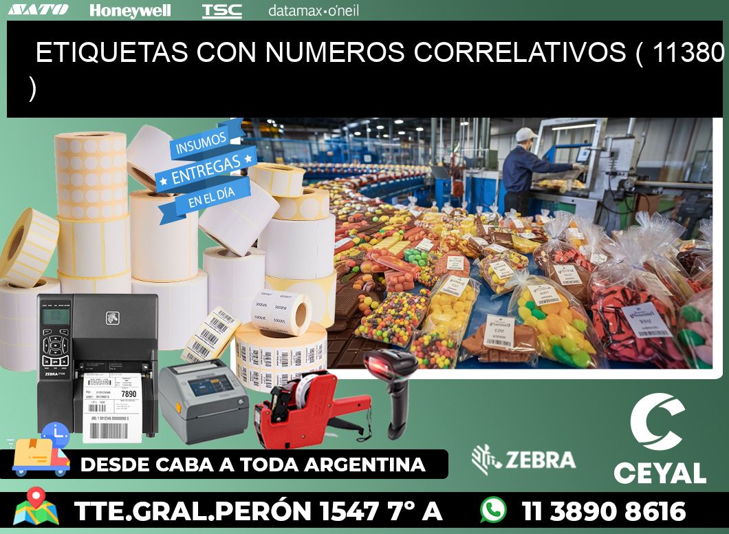 ETIQUETAS CON NUMEROS CORRELATIVOS ( 11380 )