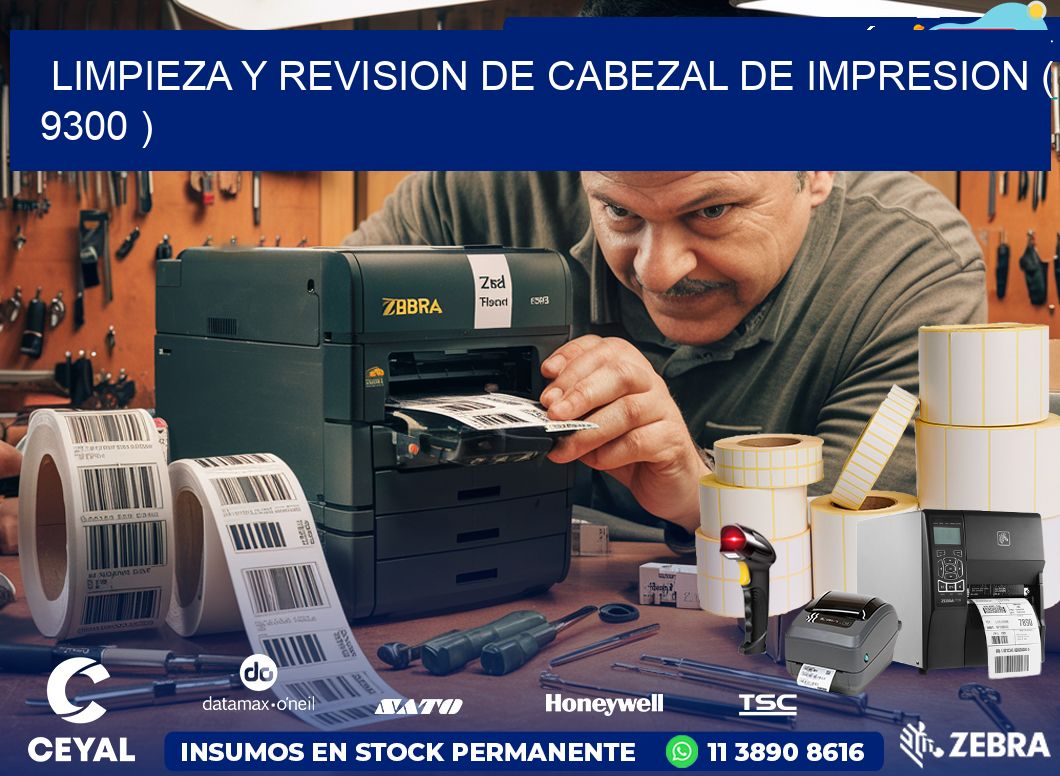 LIMPIEZA Y REVISION DE CABEZAL DE IMPRESION ( 9300 )