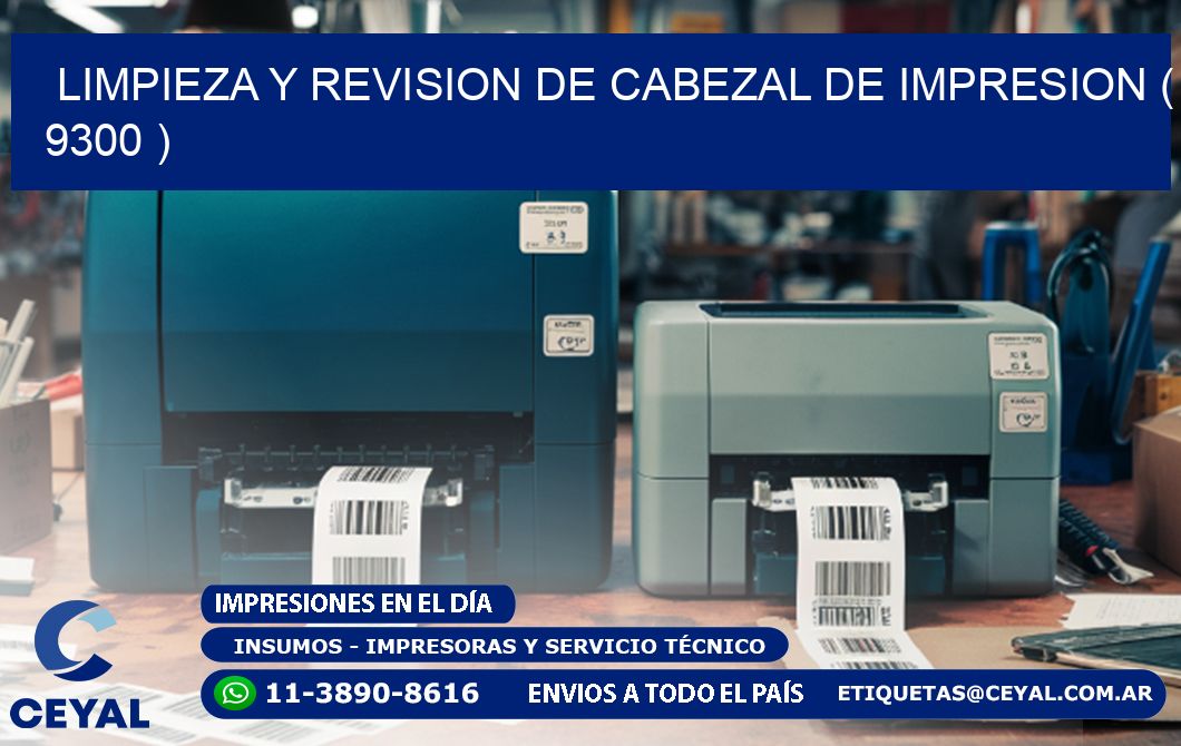 LIMPIEZA Y REVISION DE CABEZAL DE IMPRESION ( 9300 )